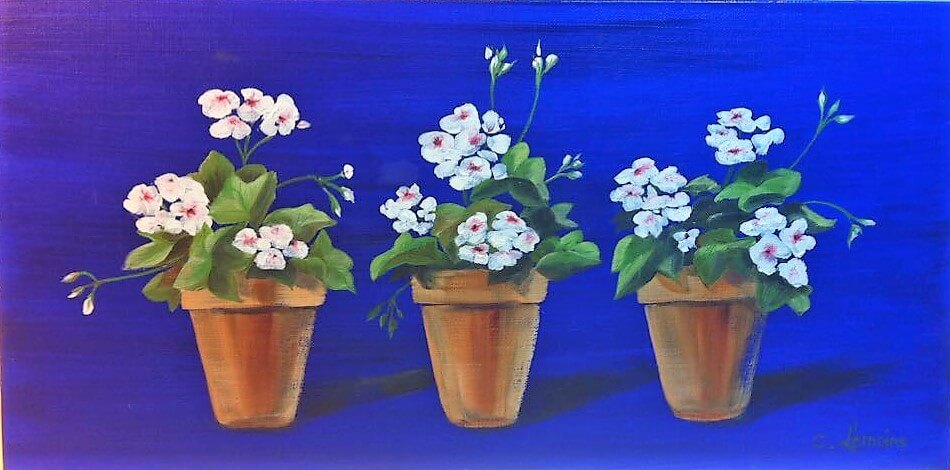 A Trio of White Geraniums on French Ultramarine Velvet Blue