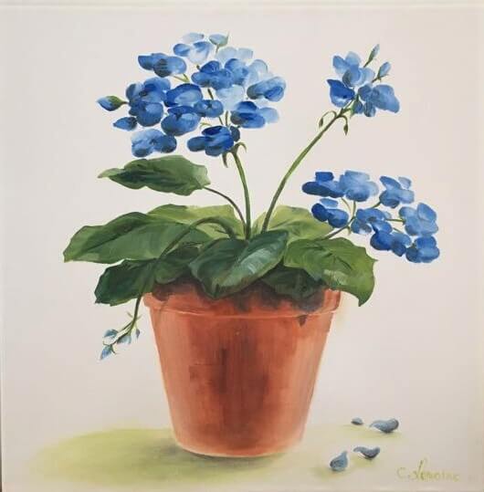 colettes-blue-geranium