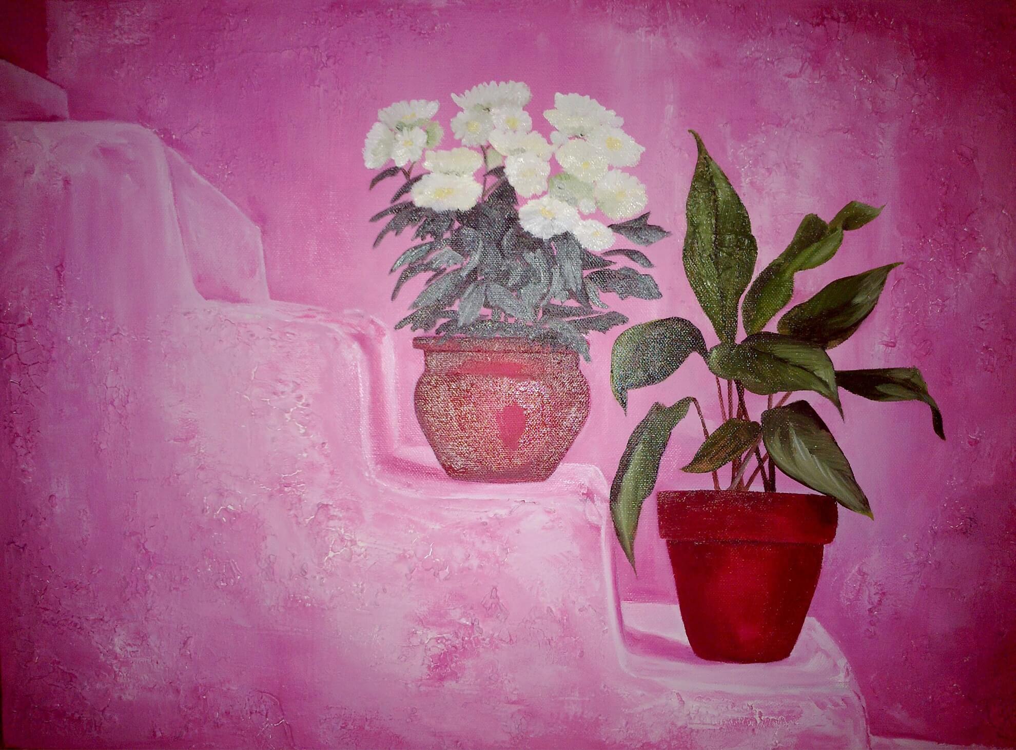 Pink Pots in Chaouenne