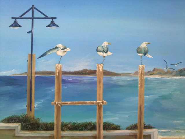 seagull-discussion-in-hermanus